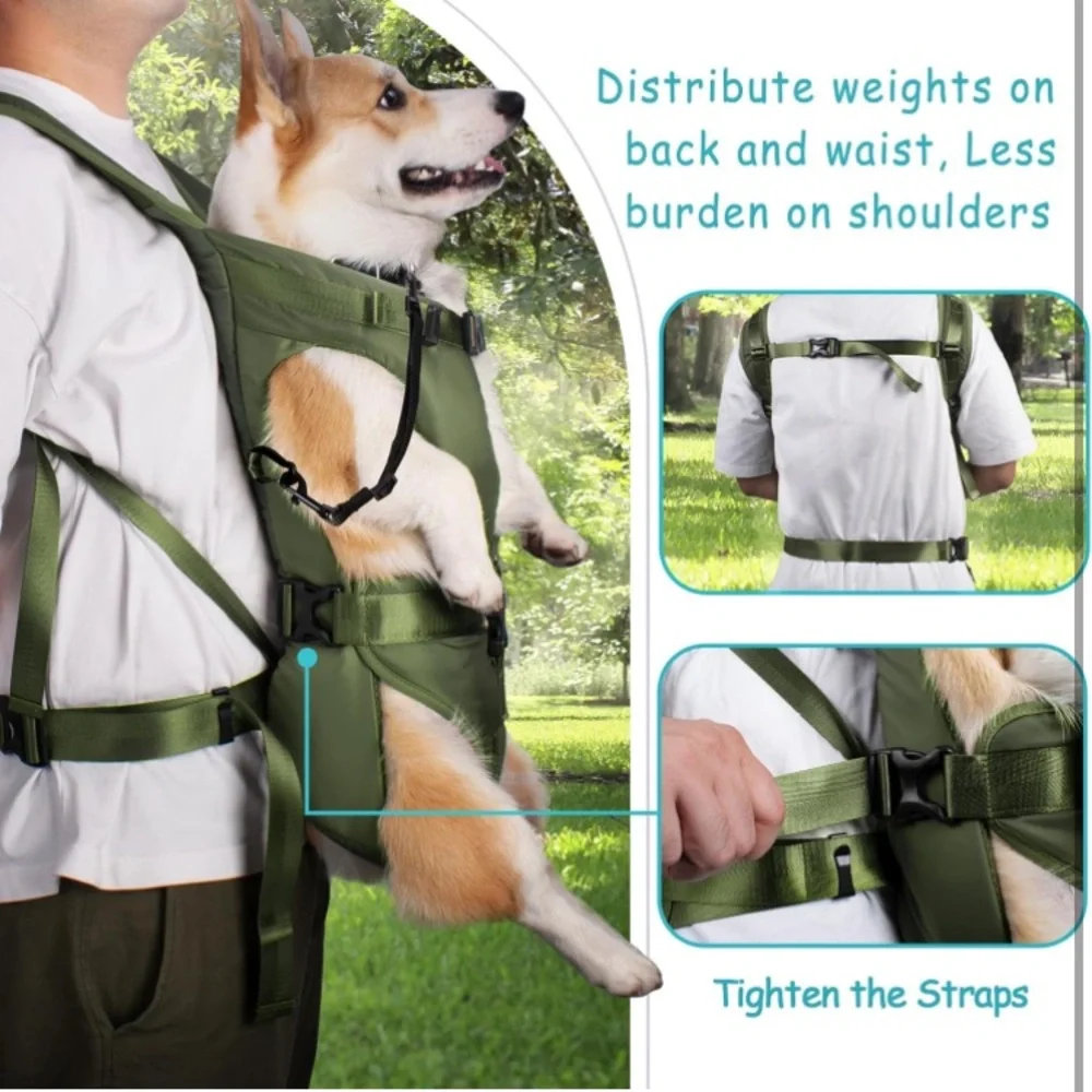 Pet Bonus comfortable olive